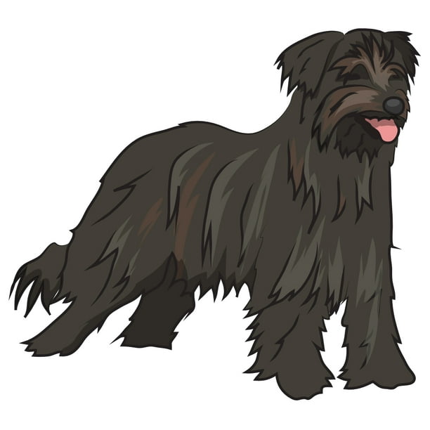 Personalize Dog Lover Gift for Custom Pet Portrait Pyrenean Shepherd
